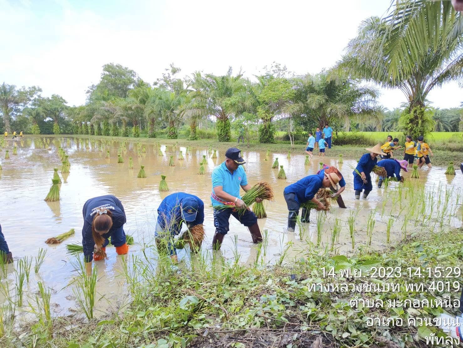 400554630 734619918693491 2915522952265977652 n