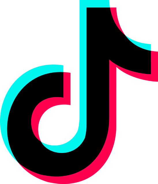 tiktok 6338432 640